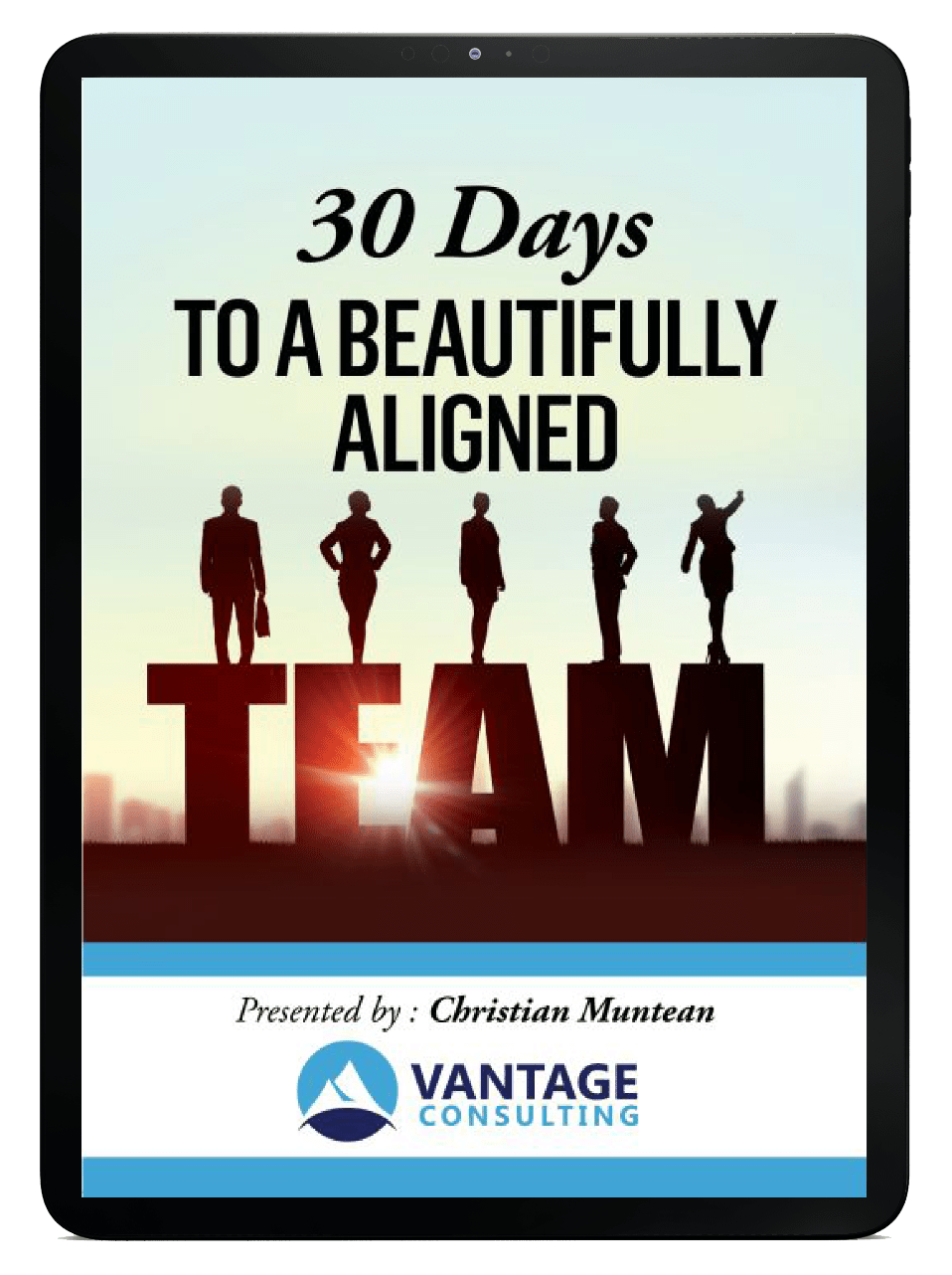 30 Days to a Beautifully Aligned Team