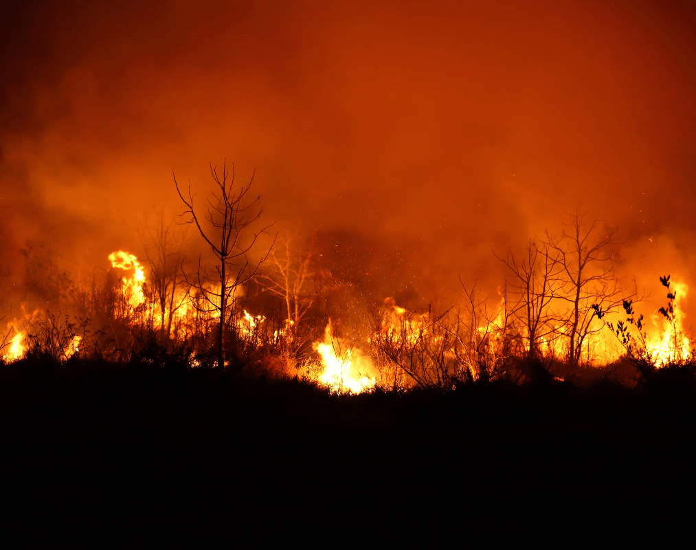 What the LA Fires Can Teach Us About Leadership, Integrity, and Crisis Response